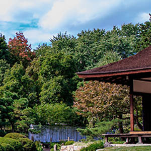 Shofuso日本茶房子和花园