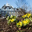 鲜花在Swarthmore的校园里发芽最佳线上娱乐
