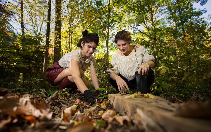 两个学生在床森林植树