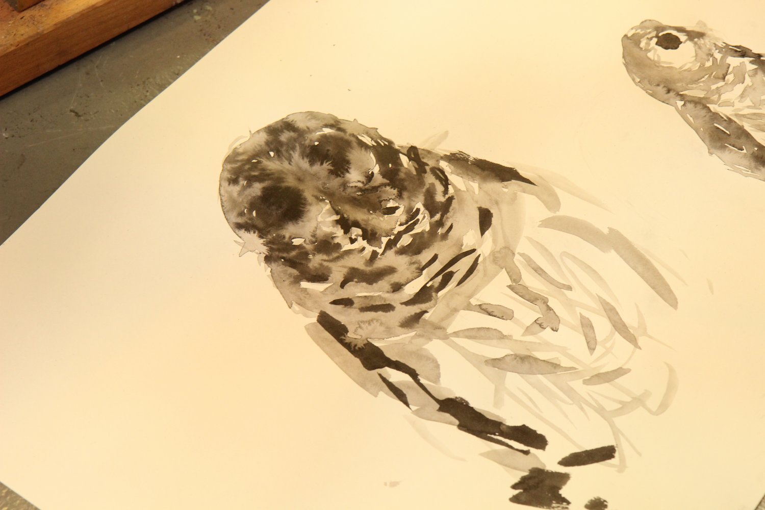 猫头鹰绘画素描。猛禽模型绘画课。