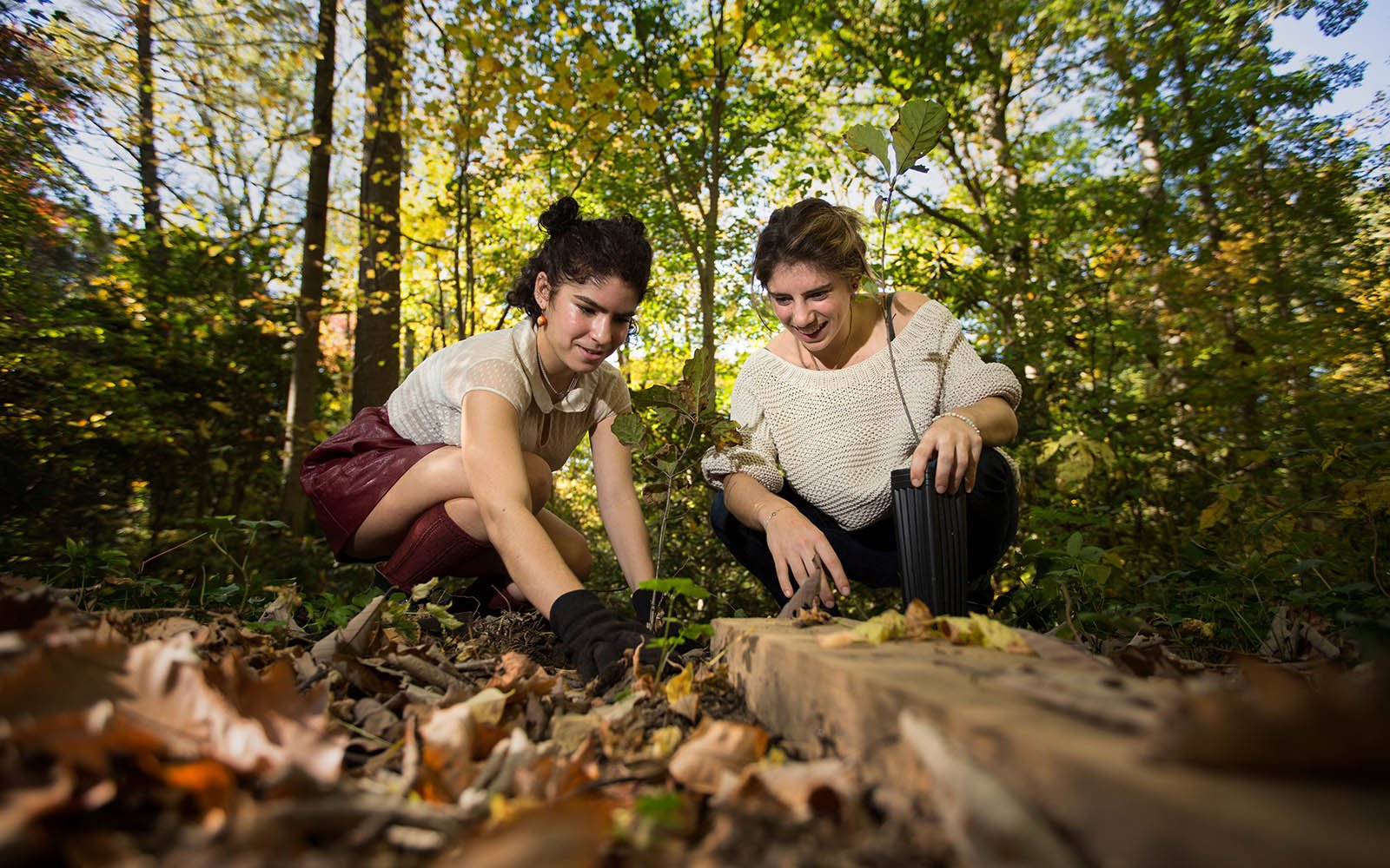 两个学生在床森林植树