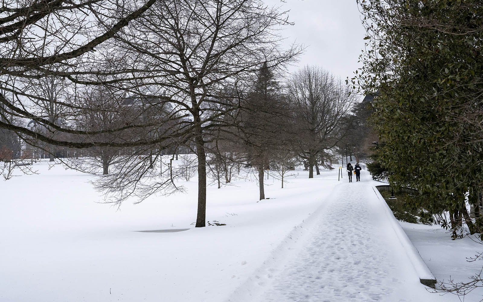 学生在雪中行走