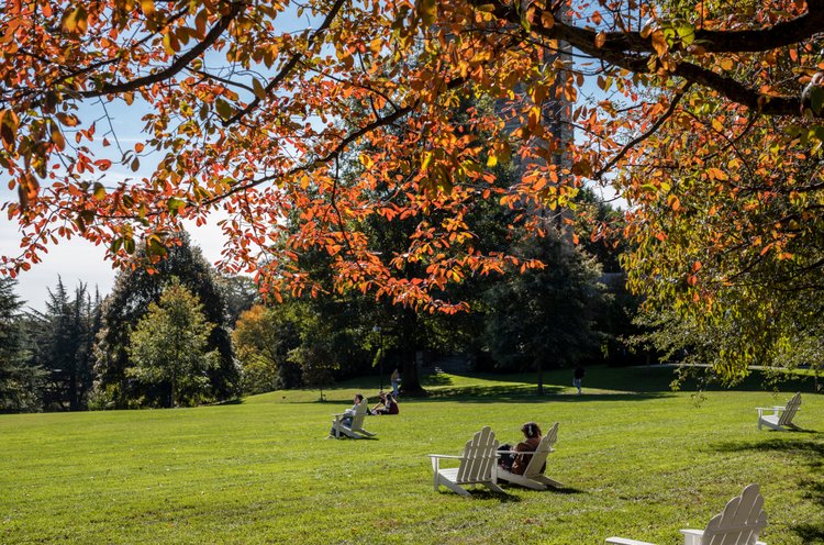 秋天的学生坐在户外草坪上