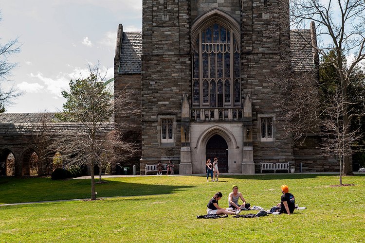 在阳光明媚的日子里，学生们坐在绿色的草地上。