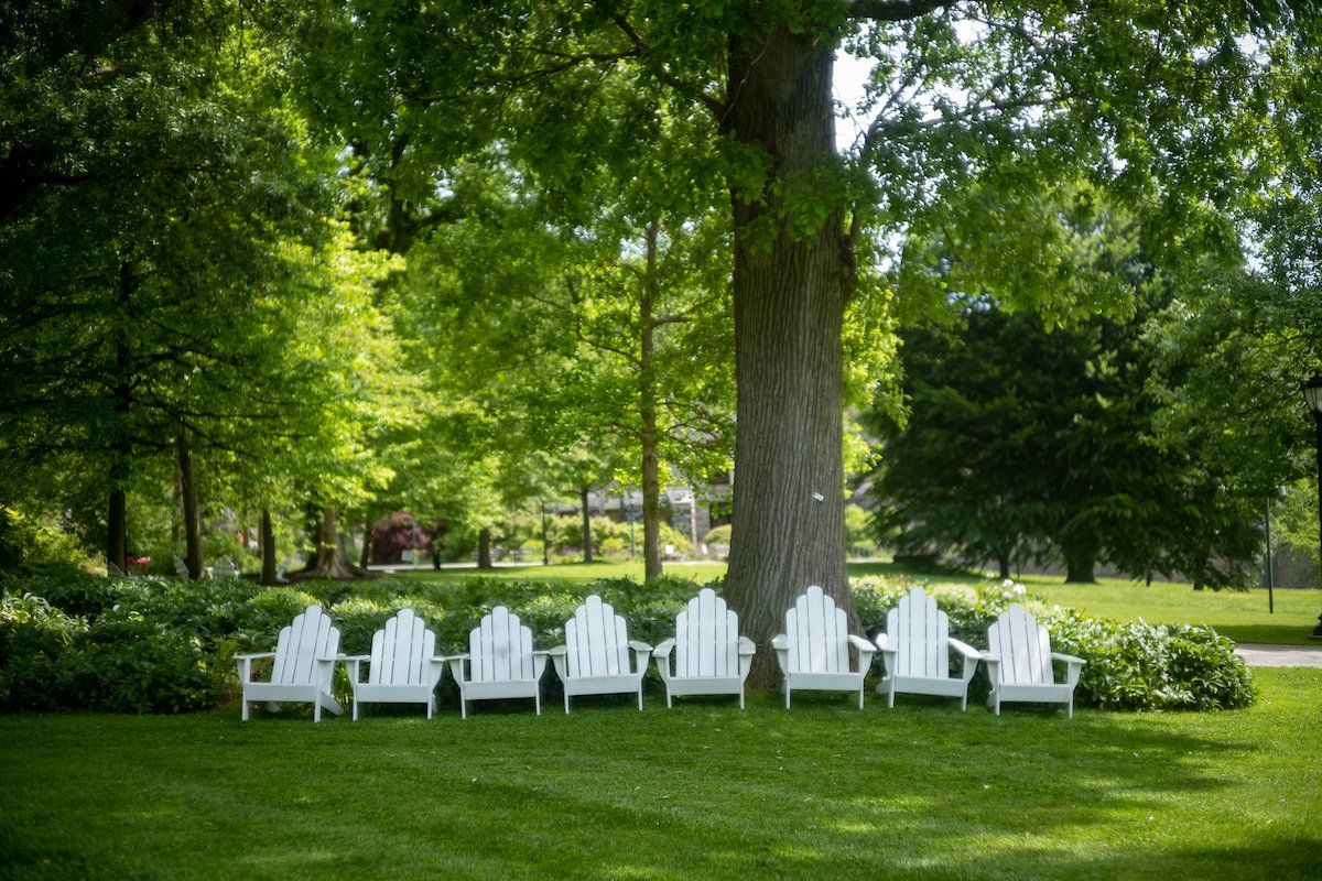 白色阿迪朗达克椅子排成一行在树下