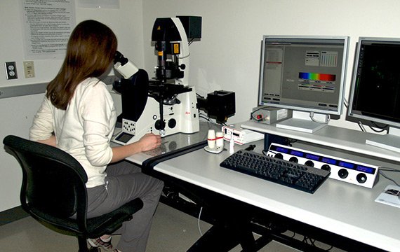 显微镜与计算机设备