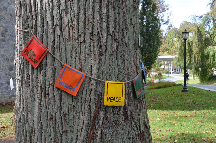 校园树木周围的旗帜