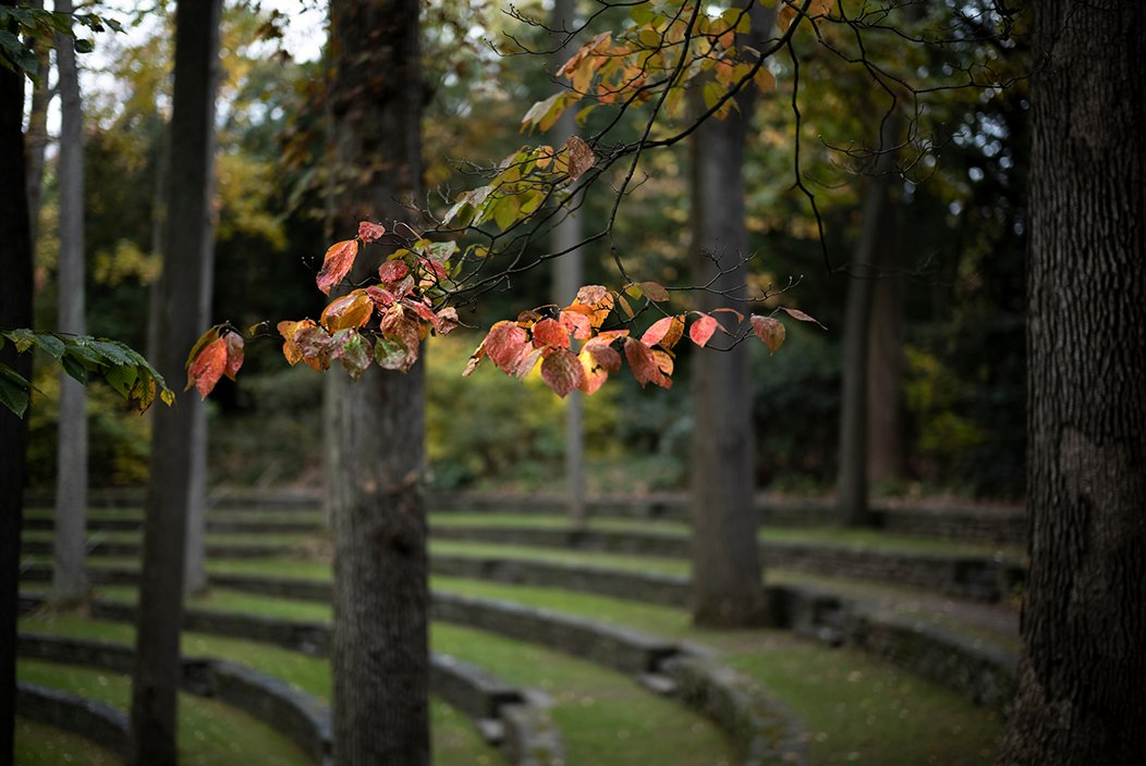 秋天露天露天剧场的树。