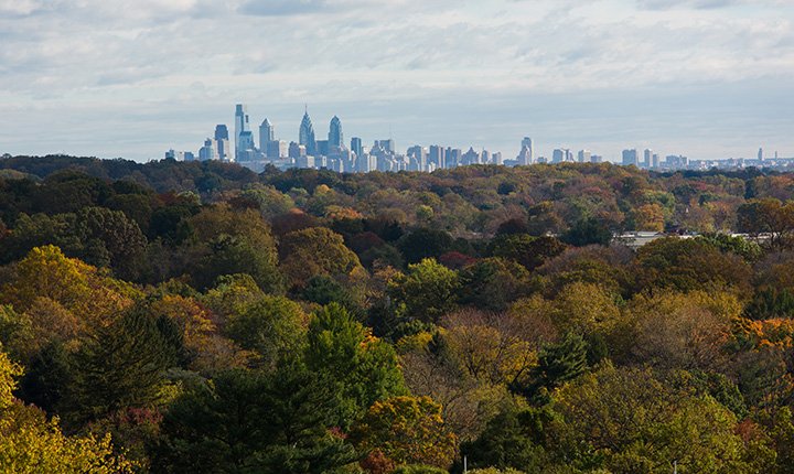 费城的天际线在秋天的树木之上