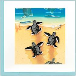 海龟孵化卡的图像