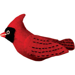 红衣主教伍里鸟装饰的图像